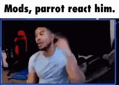 Man In Blue Shirt At Computer Saying Mods Parrot React Him GIF