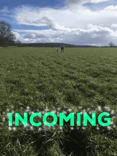 Man In Blue Shirt Dancing In Front Of Crowd GIF