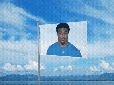Man In Blue Shirt On Flag GIF