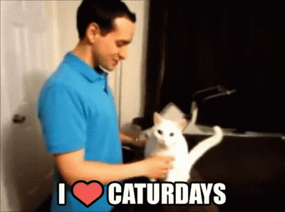 Man In Blue Shirt Petting White Cat Saying I Heart Caturdays GIF
