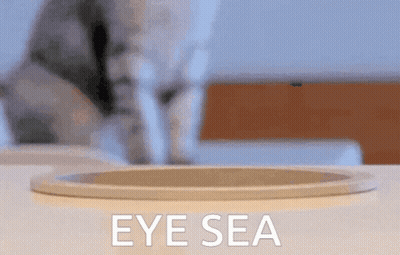 Man In Blue Shirt Saying The Power Of Veto Is Mine GIF