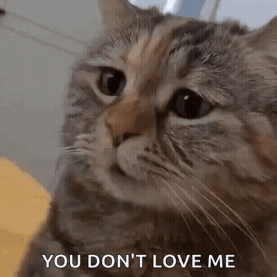 Man In Blue Shirt Saying This Is So Good GIF