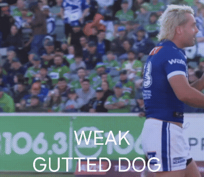 Man In Blue Shirt Says Weak Gutted Dog GIF
