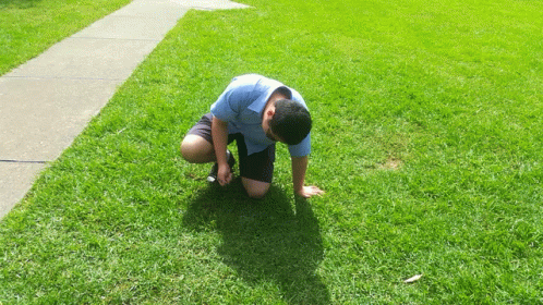Man In Blue Shirt Sitting On Grass GIF