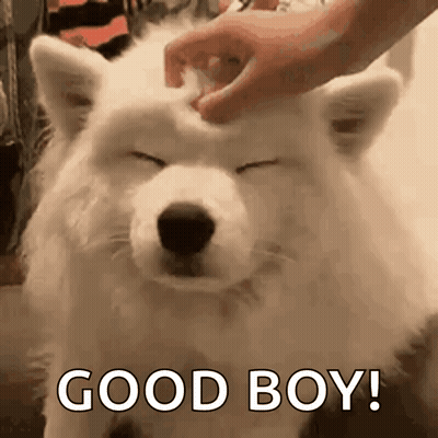 Man In Blue Shirt Smiling 1St One Gifs GIF