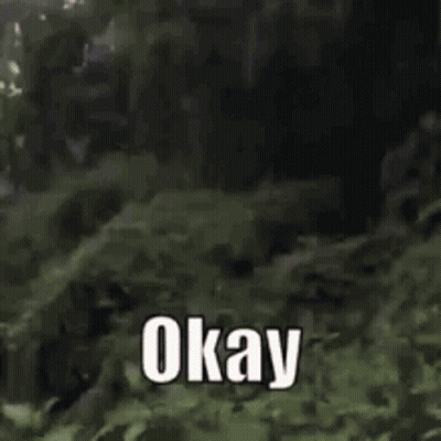 Man In Blue Shirt Smiling And Saying Okay GIF