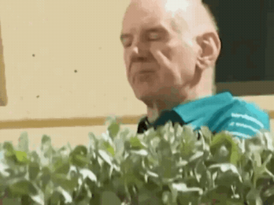Man In Blue Shirt Standing In Front Of Bush GIF