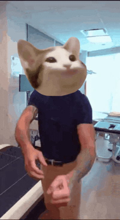 Man In Blue Shirt With Cat Head On Chest GIF