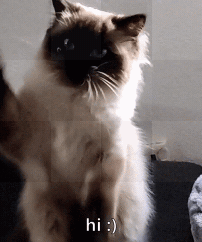 Man In Blue Shirt With Number 32 GIF