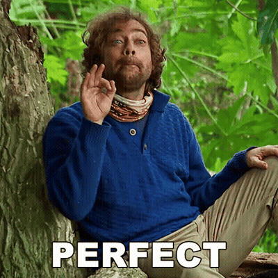 Man In Blue Sweater Next To Tree Saying Perfect GIF