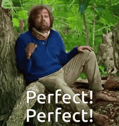 Man In Blue Sweater Sitting On Tree Trunk GIF