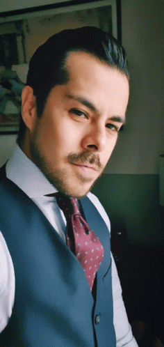 Man In Blue Vest And Purple Tie GIF