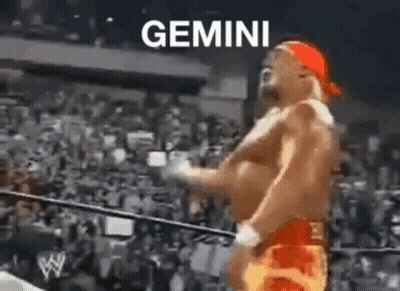 Man In Boxing Ring With Gemini GIF