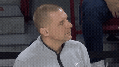 Man In Boxing Ring With Polar Bear Szn GIF