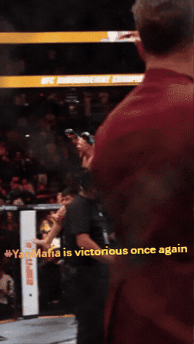 Man In Boxing Ring Yanmafia Is Victorious Once Again GIF