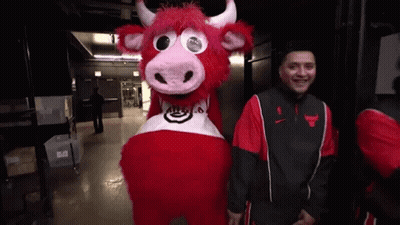 Man In Bulls Jacket Beside Mascot GIF