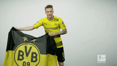 Man In BVB Jersey Holding Black And Yellow Flag GIF