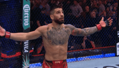 Man In Cage Arms Outstretched UFC Sign GIF