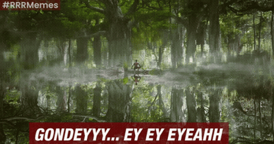 Man In Canoe In Swamp Saying Gondeyyy Ey Ey Eyeahhh GIF