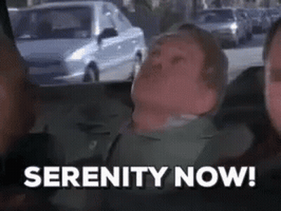 Man In Car Serenity Now GIF