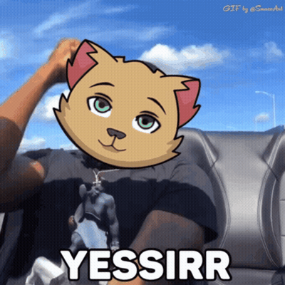 Man In Car With Cat On Head Yessirr GIF