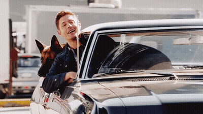Man In Car With Dog Sticking Head Out Window GIF