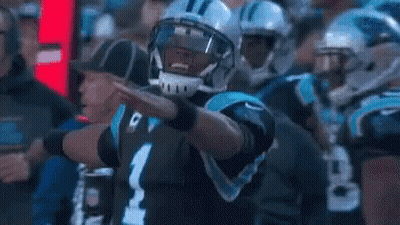 Man In Carolina Panthers Helmet Standing Next To Referee GIF