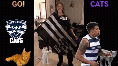 Man In Cat Shirt Next To Cat And Man In Cat Shirt GIF
