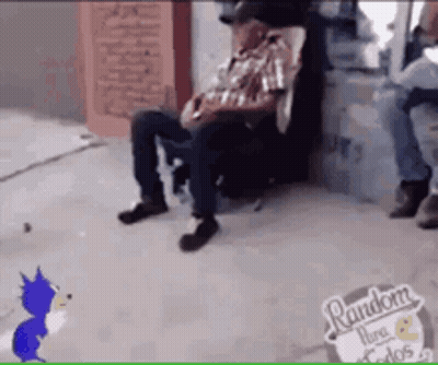 Man In Chair Beside Cat And Random Sign GIF