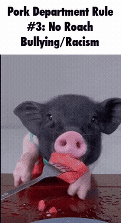 Man In City Wok Restaurant GIF