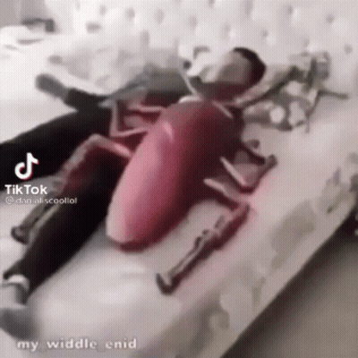 Man In Cockroach Costume Lying On Bed GIF