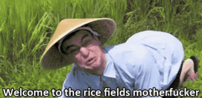 Man In Conical Hat Kneeling In Grass Welcome To The Rice Fields Motherfucker GIF