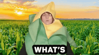 Man In Corn On The Cob Costume Saying What GIF