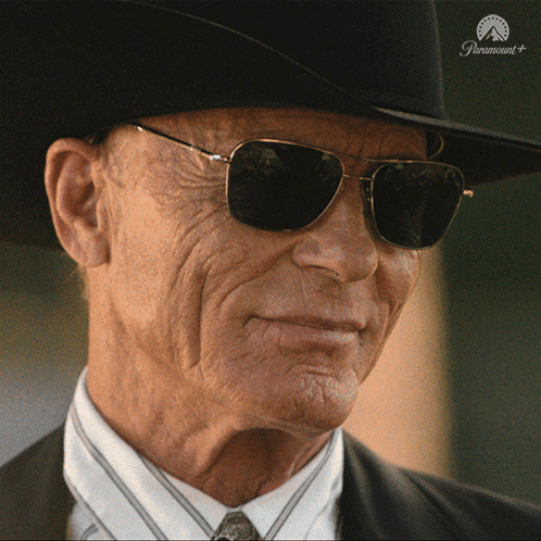 Man In Cowboy Hat And Sunglasses GIF