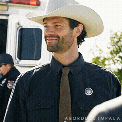Man In Cowboy Hat And Tie In Front Of Police Vehicle GIF