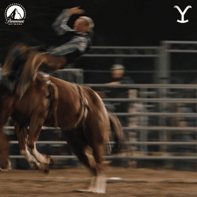 Man In Cowboy Hat And Vest Not My First Rodeo GIF