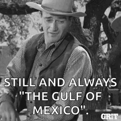 Man In Cowboy Hat By Tree GIF