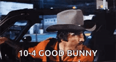 Man In Cowboy Hat Driving Car Saying 10-4 Good Bunny GIF