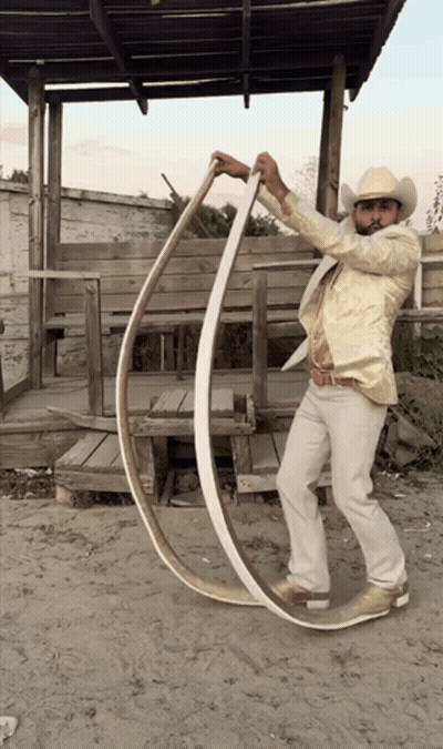 Man In Cowboy Hat Holding Long Wood GIF