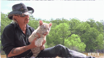 Man In Cowboy Hat Holding Small White Tiger GIF