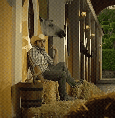 Man In Cowboy Hat Leaning Against Wall With Horse GIF
