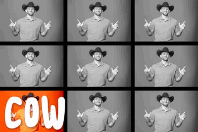 Man In Cowboy Hat Points To Cow GIF