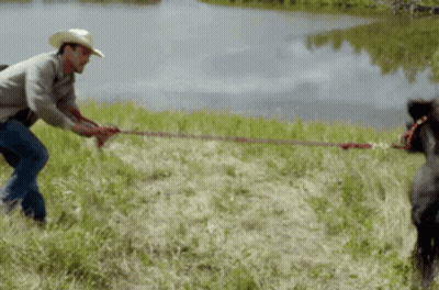 Man In Cowboy Hat Pulling Rope With Horse GIF