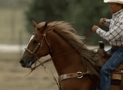 Man In Cowboy Hat Riding Brown Horse GIF