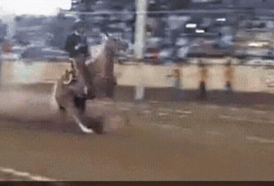 Man In Cowboy Hat Riding Horse GIF