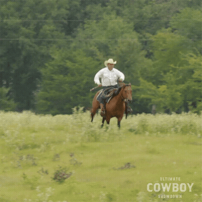 Man In Cowboy Hat Riding Horse Ultimate Cowboy Showdown GIF