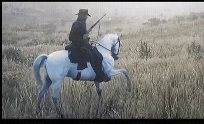 Man In Cowboy Hat Riding White Horse GIF