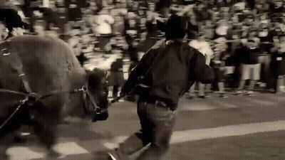 Man In Cowboy Hat Running Behind Horse GIF