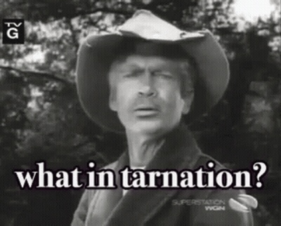 Man in Cowboy Hat Saying What in Tarnation