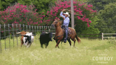 Man In Cowboy Hat Watching Cowboys On Horses GIF